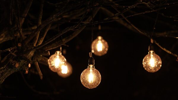 Best solar spotlight: small lights glowing in a garden at night