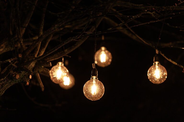 Best solar spotlight: small lights glowing in a garden at night