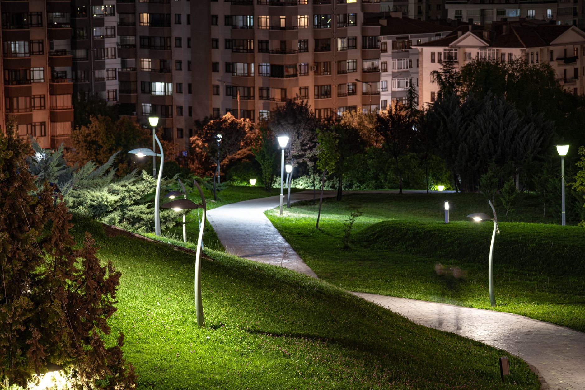 A garden path lined with small outdoor lights