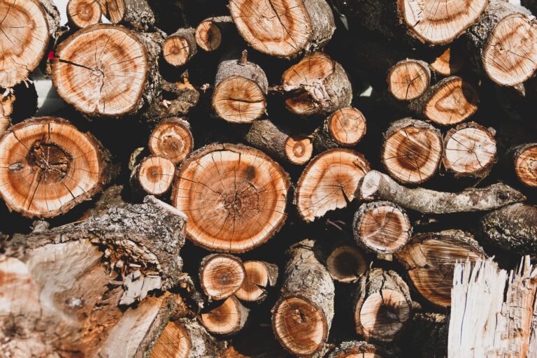 Best splitting axe: a stack of split firewood ready for winter