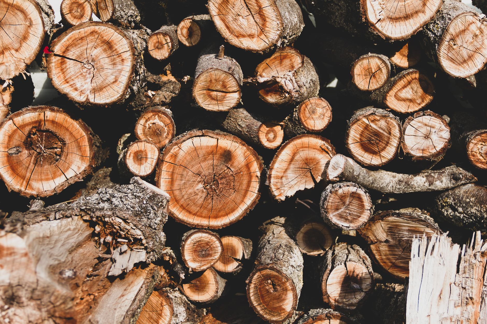 Best splitting axe: a stack of split firewood ready for winter