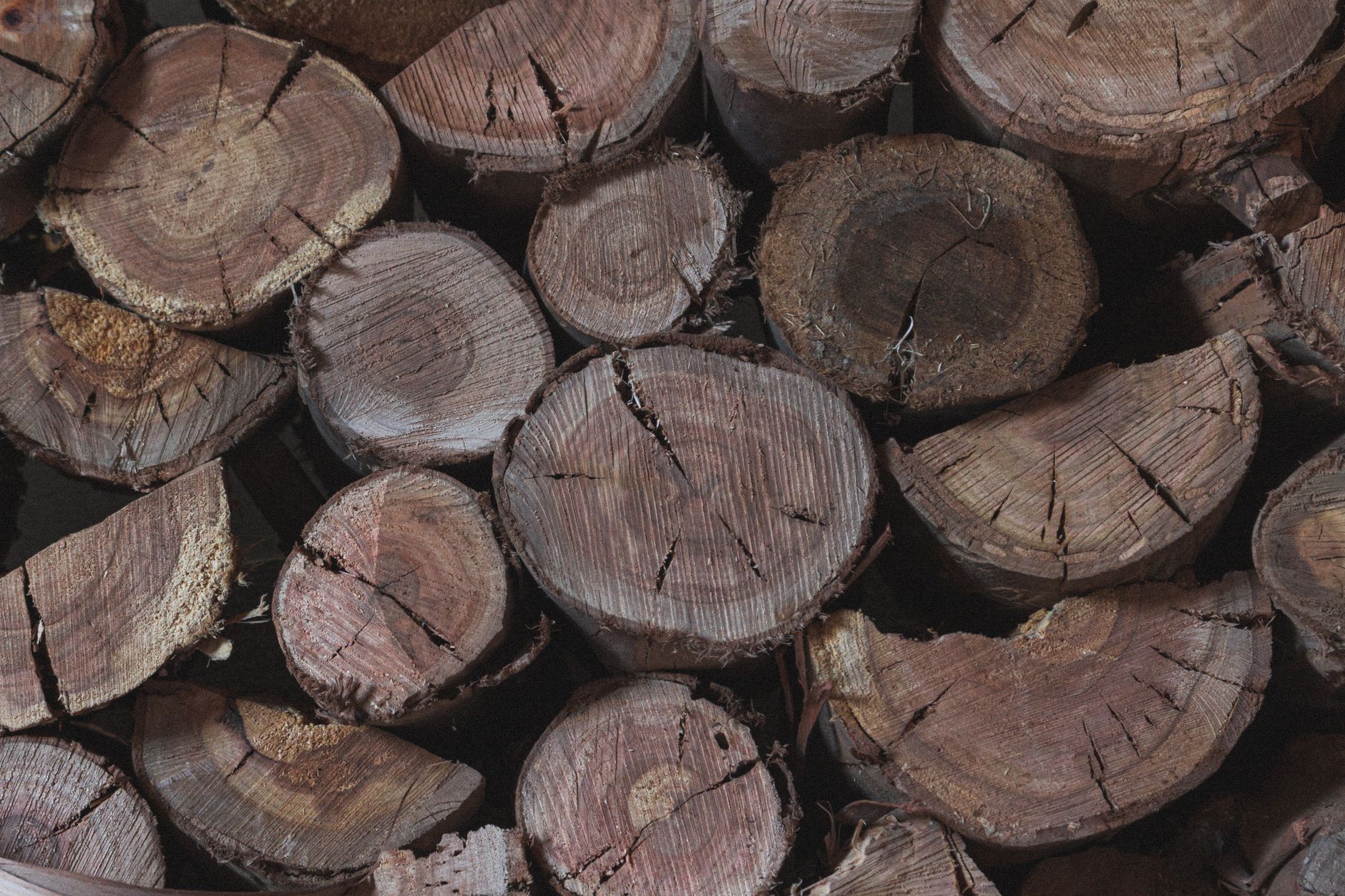 A pile of freshly split logs