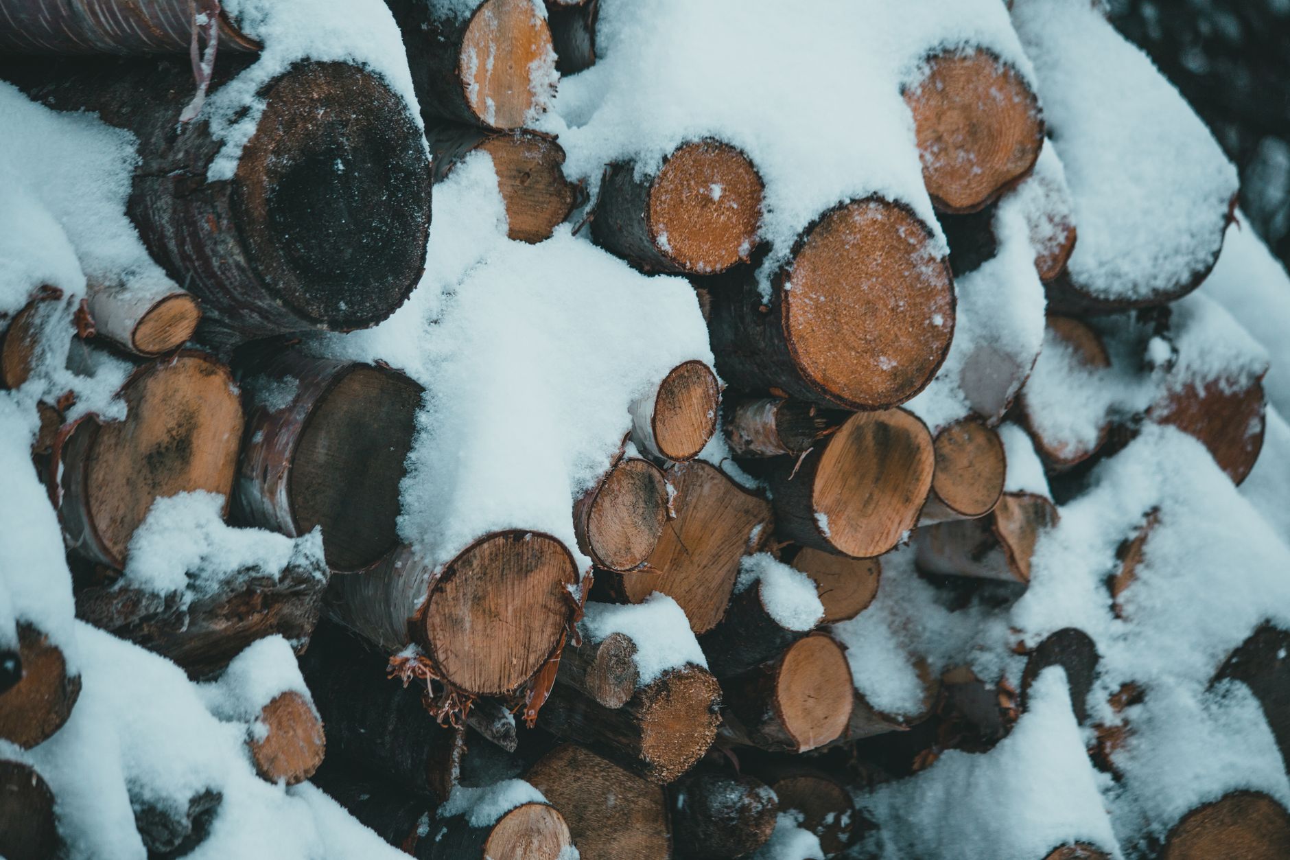 A woodpile outdoors in winter