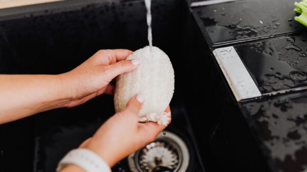 Best sponge holder: a kitchen sink with a sponge and dish soap nearby