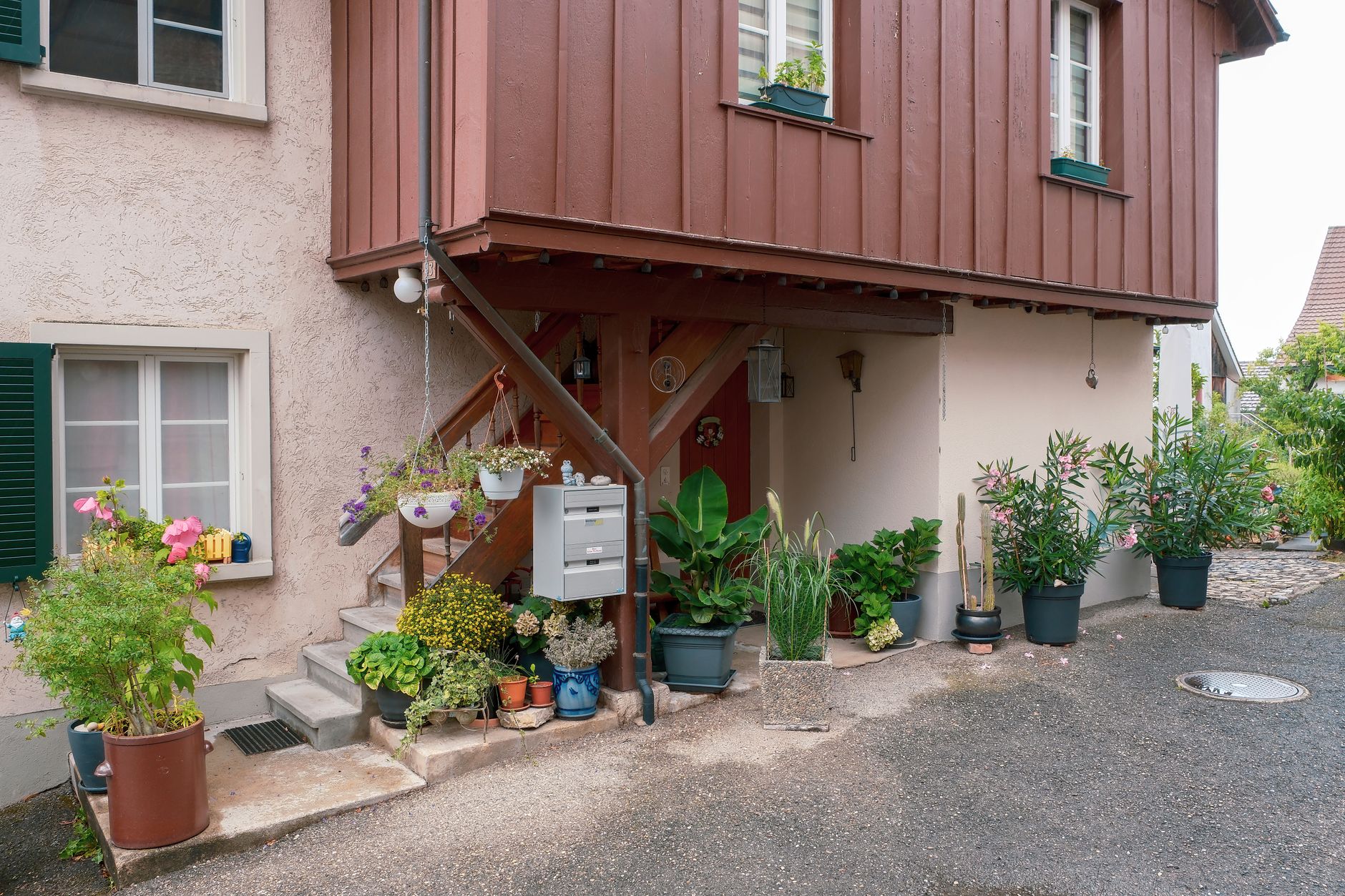 Potted plants beside a house entrance