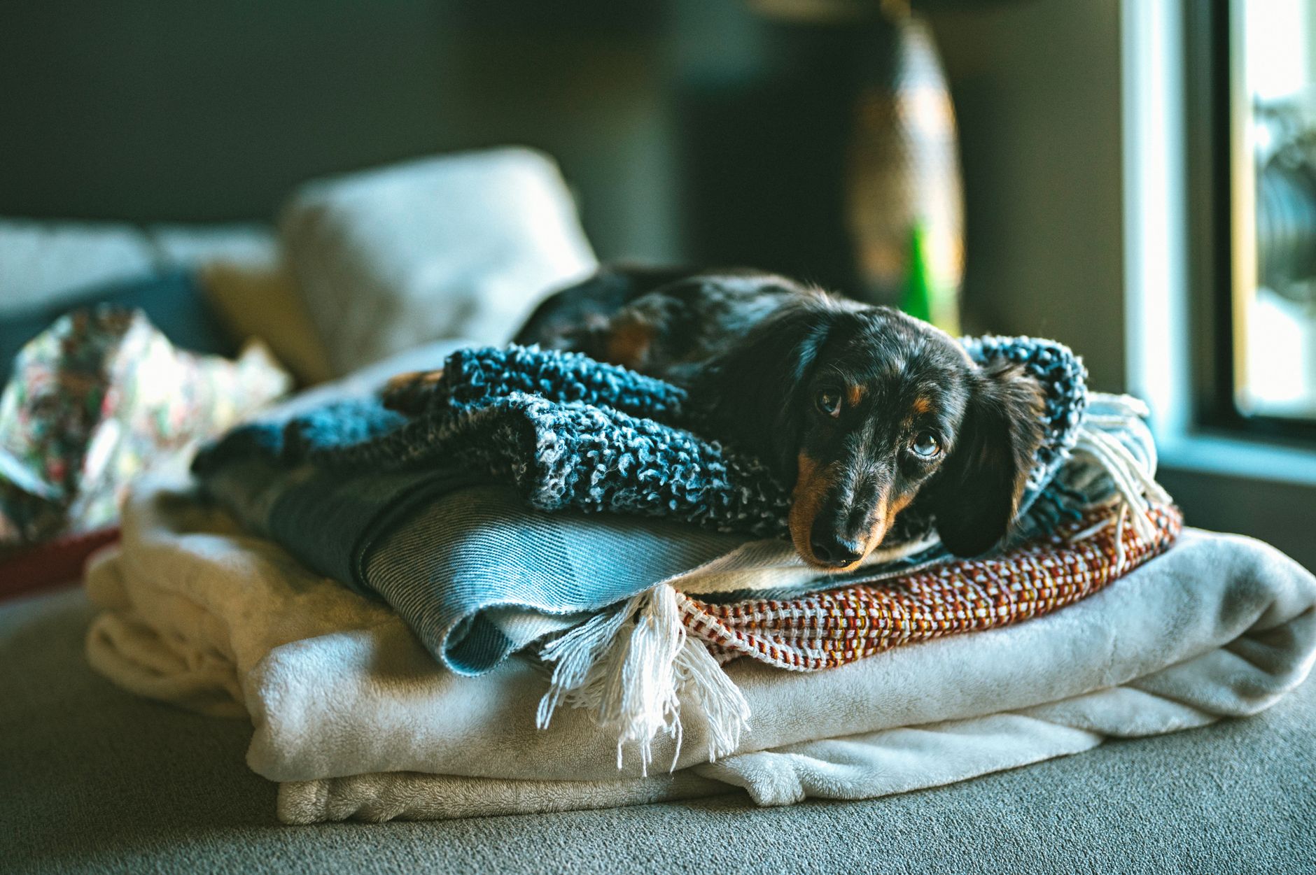 A stack of folded blankets