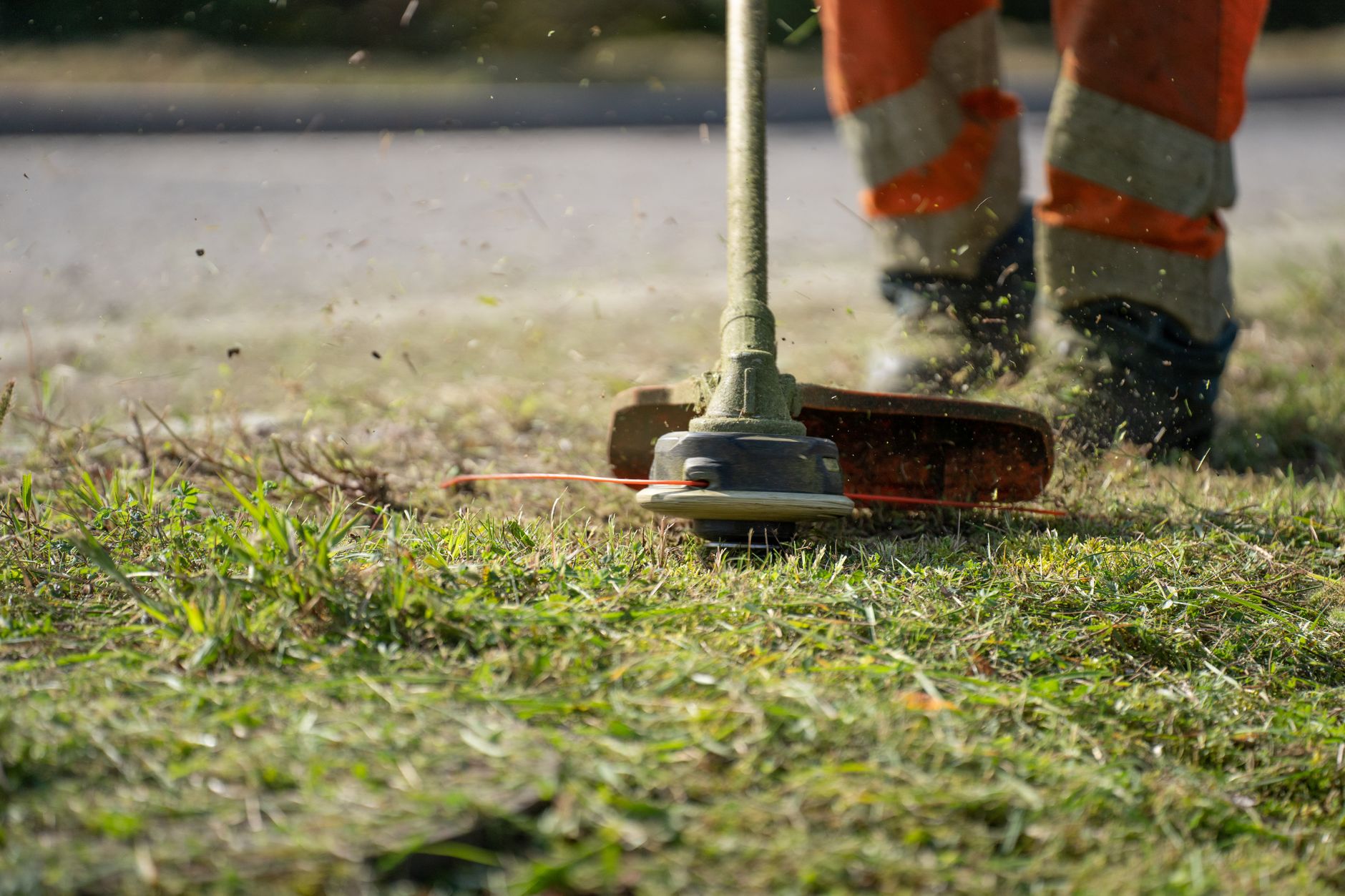 A string trimmer cutting grass along a road