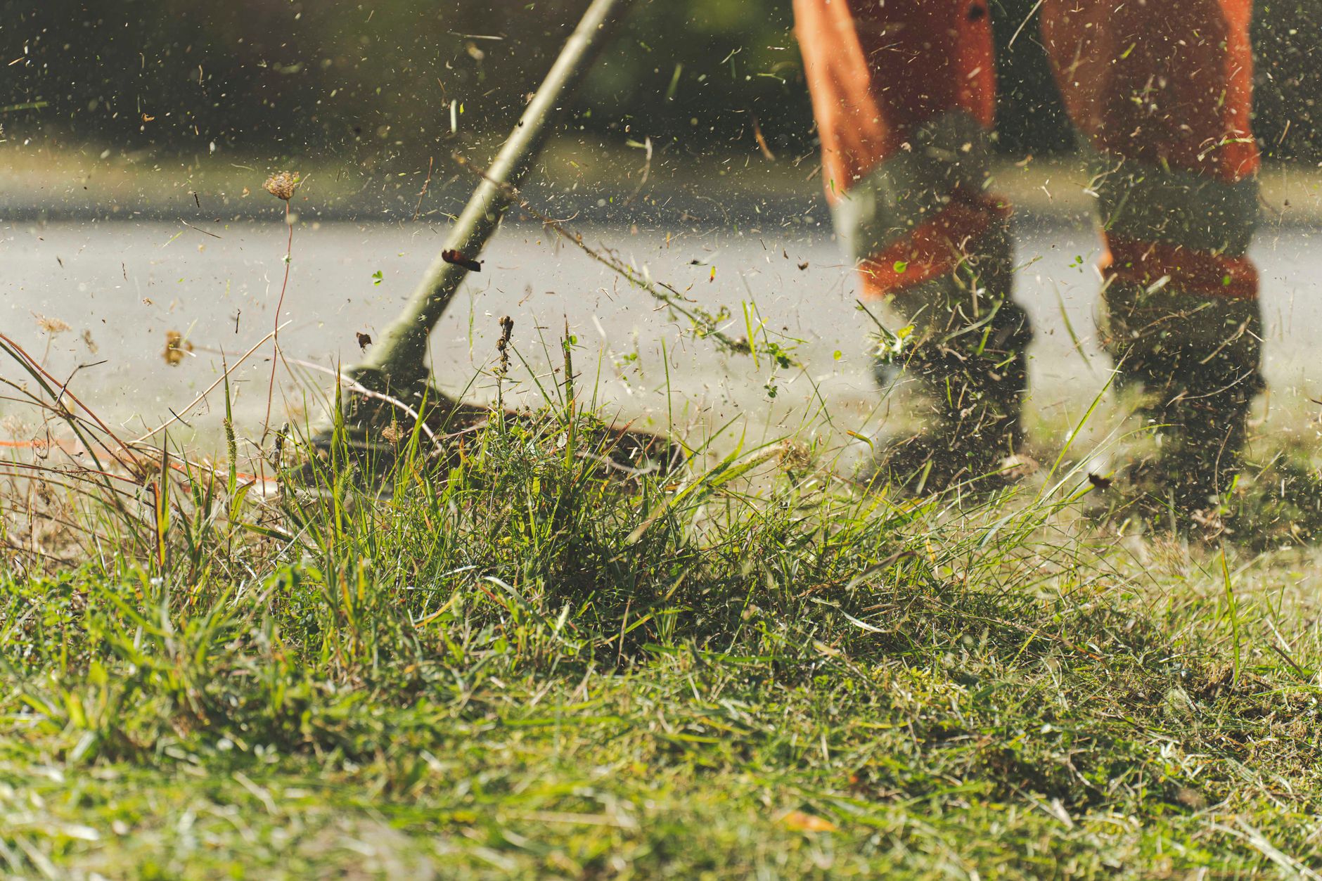 Grass clippings flying from a trimmer