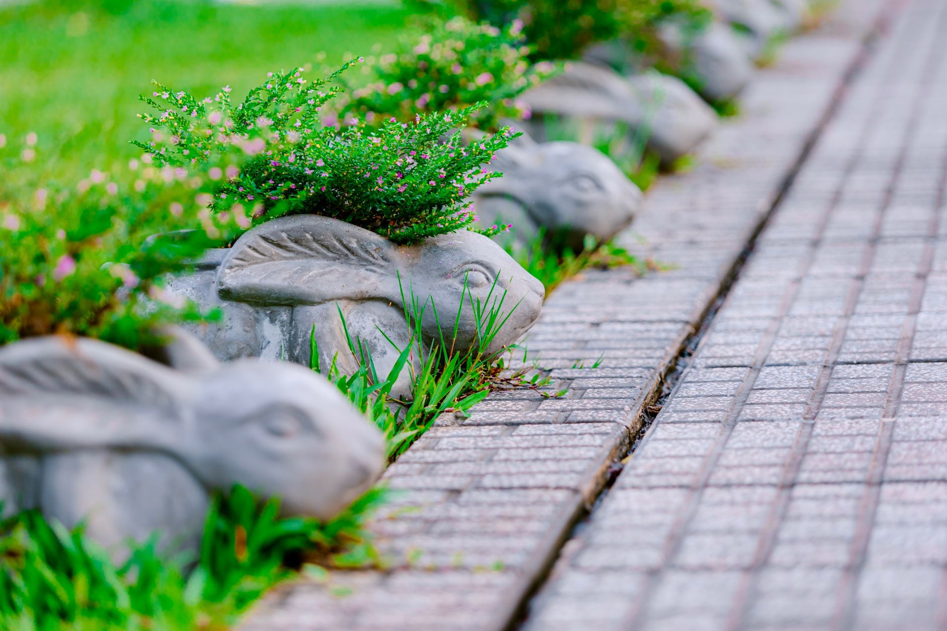 A neatly edged lawn beside a brick path