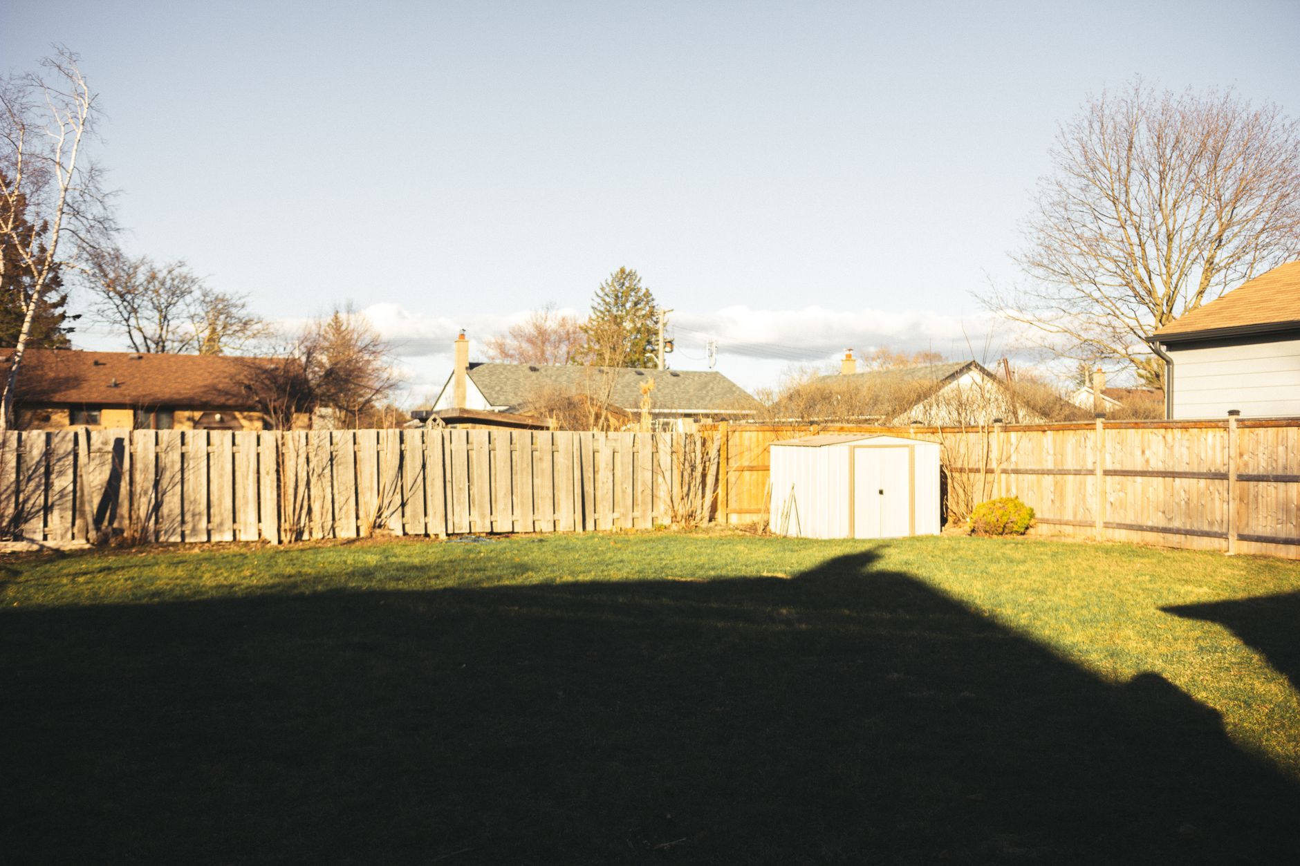 A backyard lawn with a wooden fence