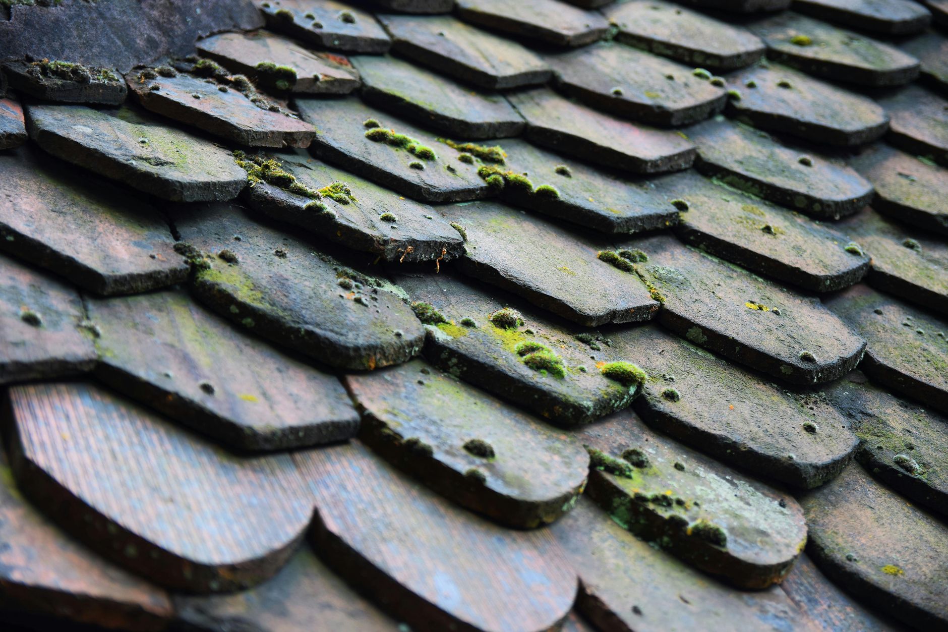 Rain falling on a shingled roof