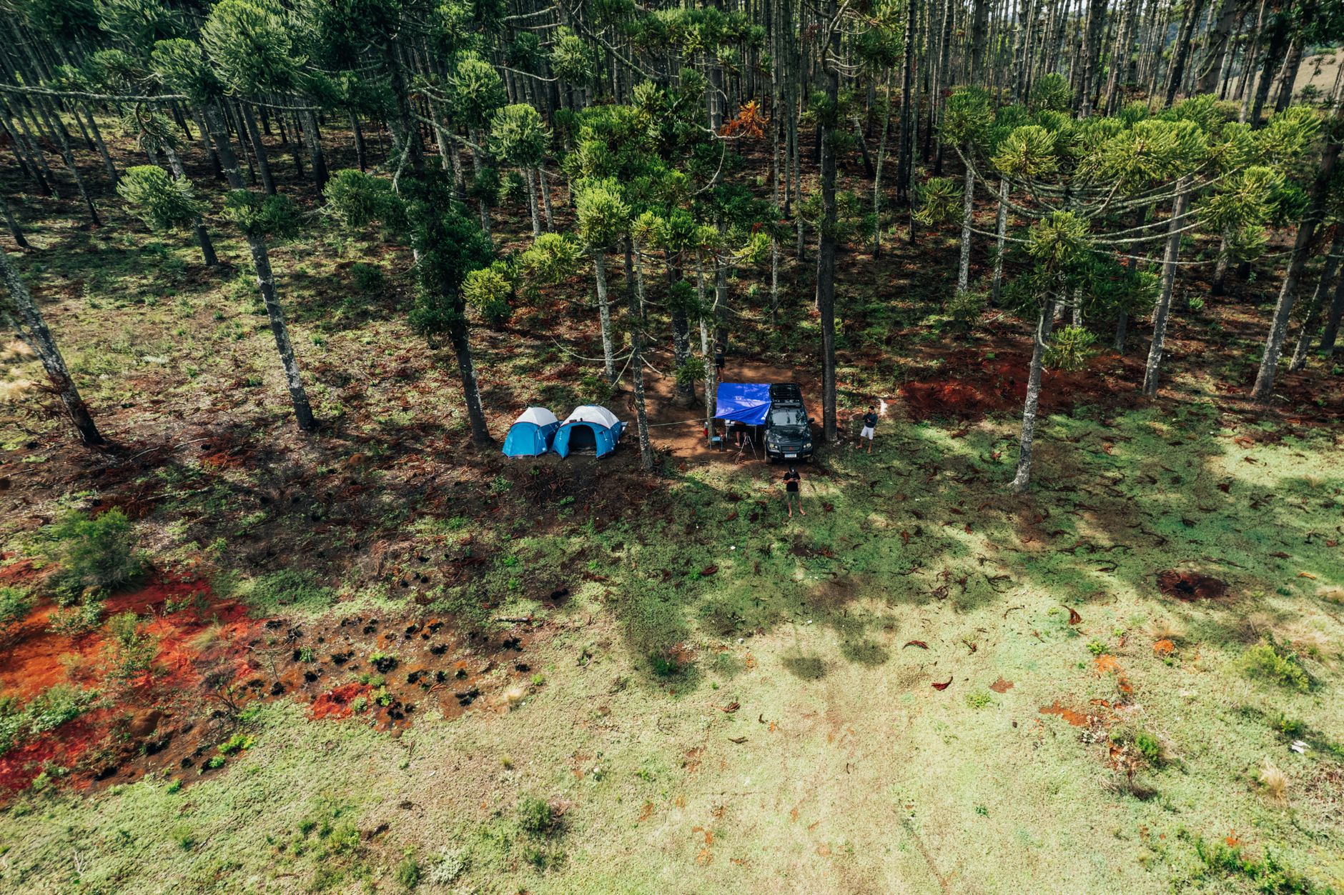 A tarp rigged as shelter at a forest campsite