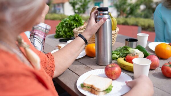 Best thermos: an insulated container with a warm lunch