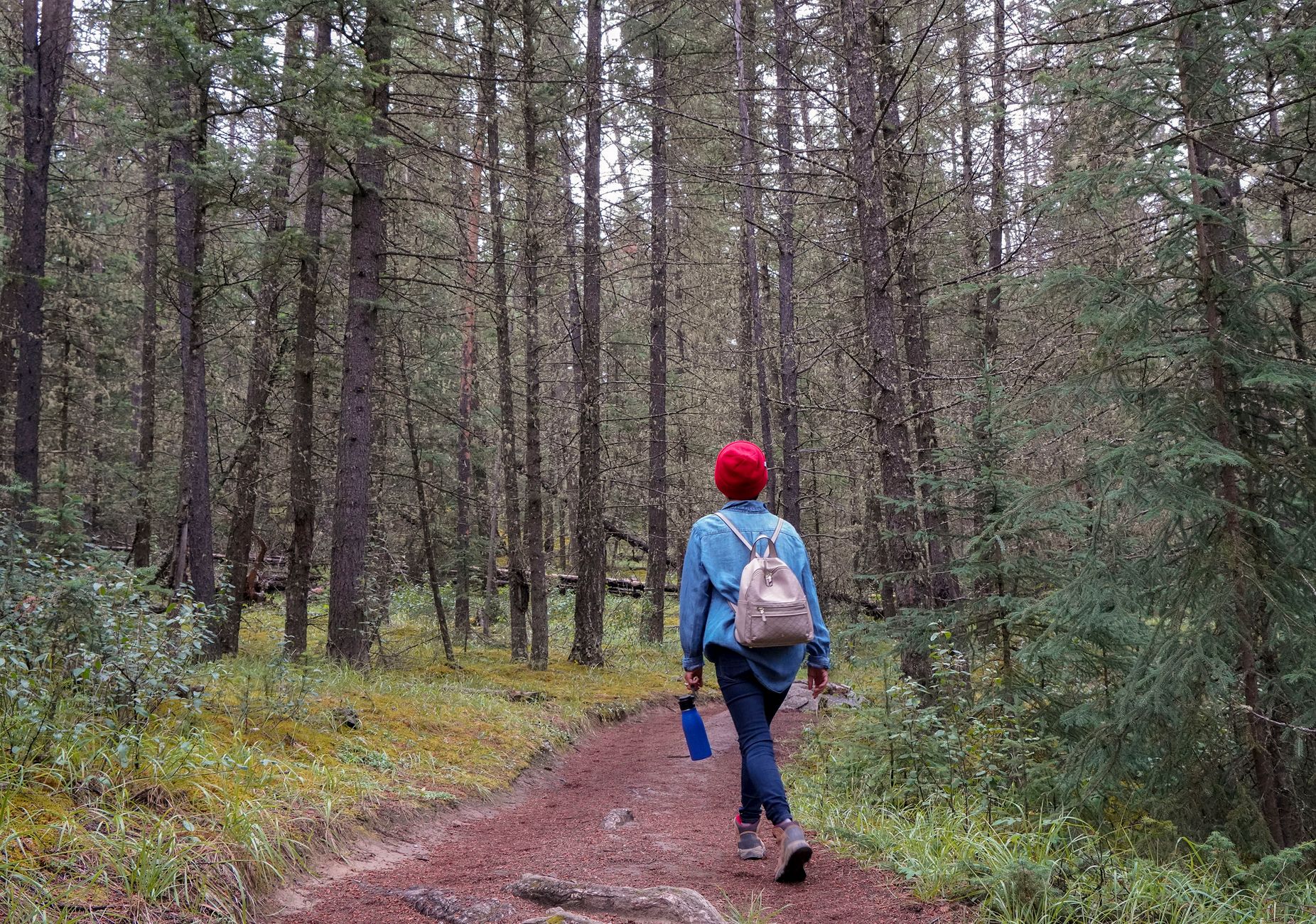A metal bottle carried on a hike