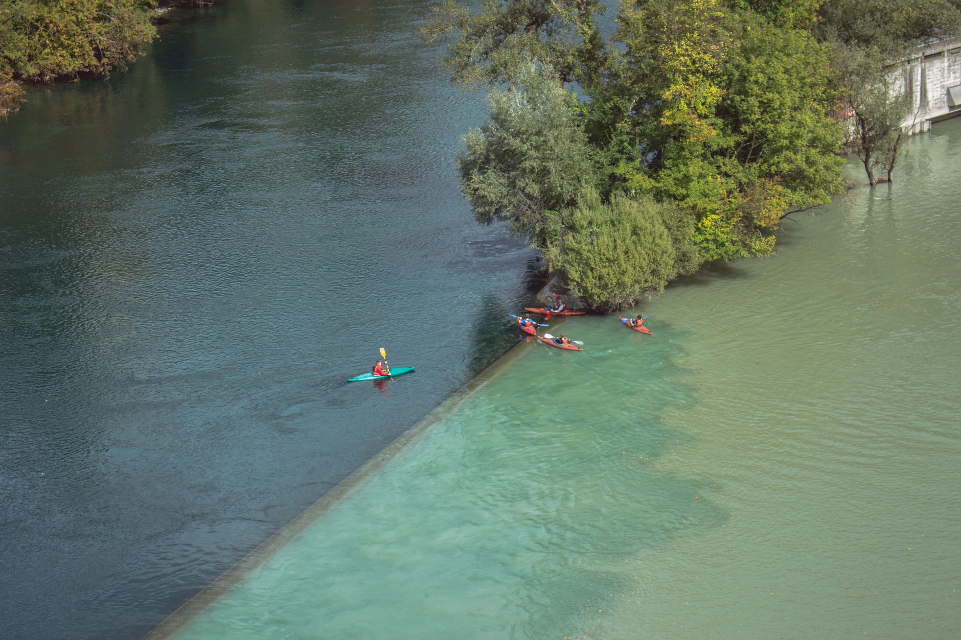 Kayakers paddling on a green river