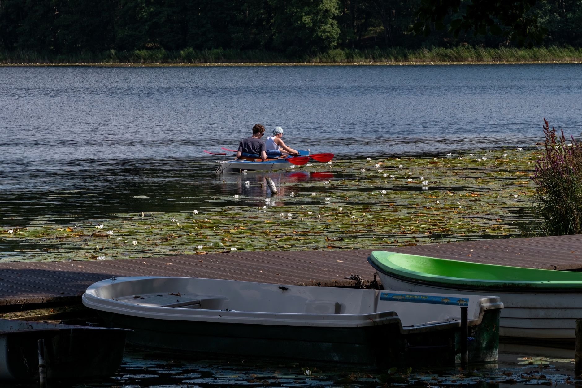 Kayakers and rowboats at a lakeside dock