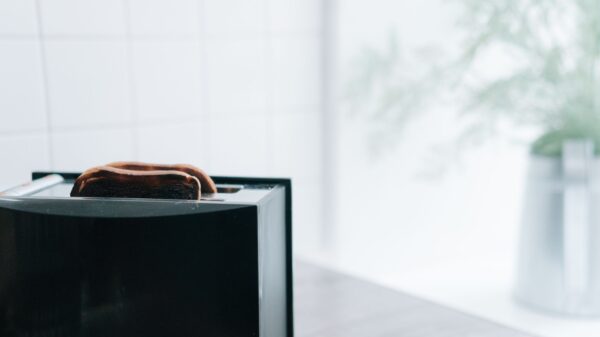 Best toaster: bread in a pop-up toaster