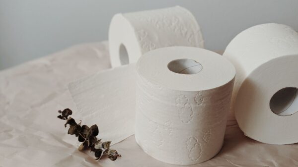 Best toilet paper holder: a roll of toilet paper