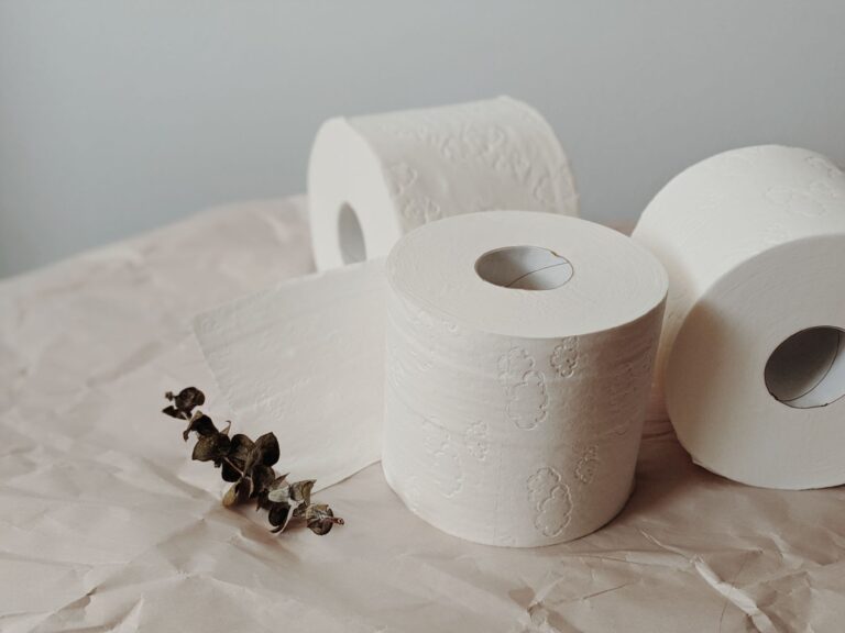 Best toilet paper holder: a roll of toilet paper