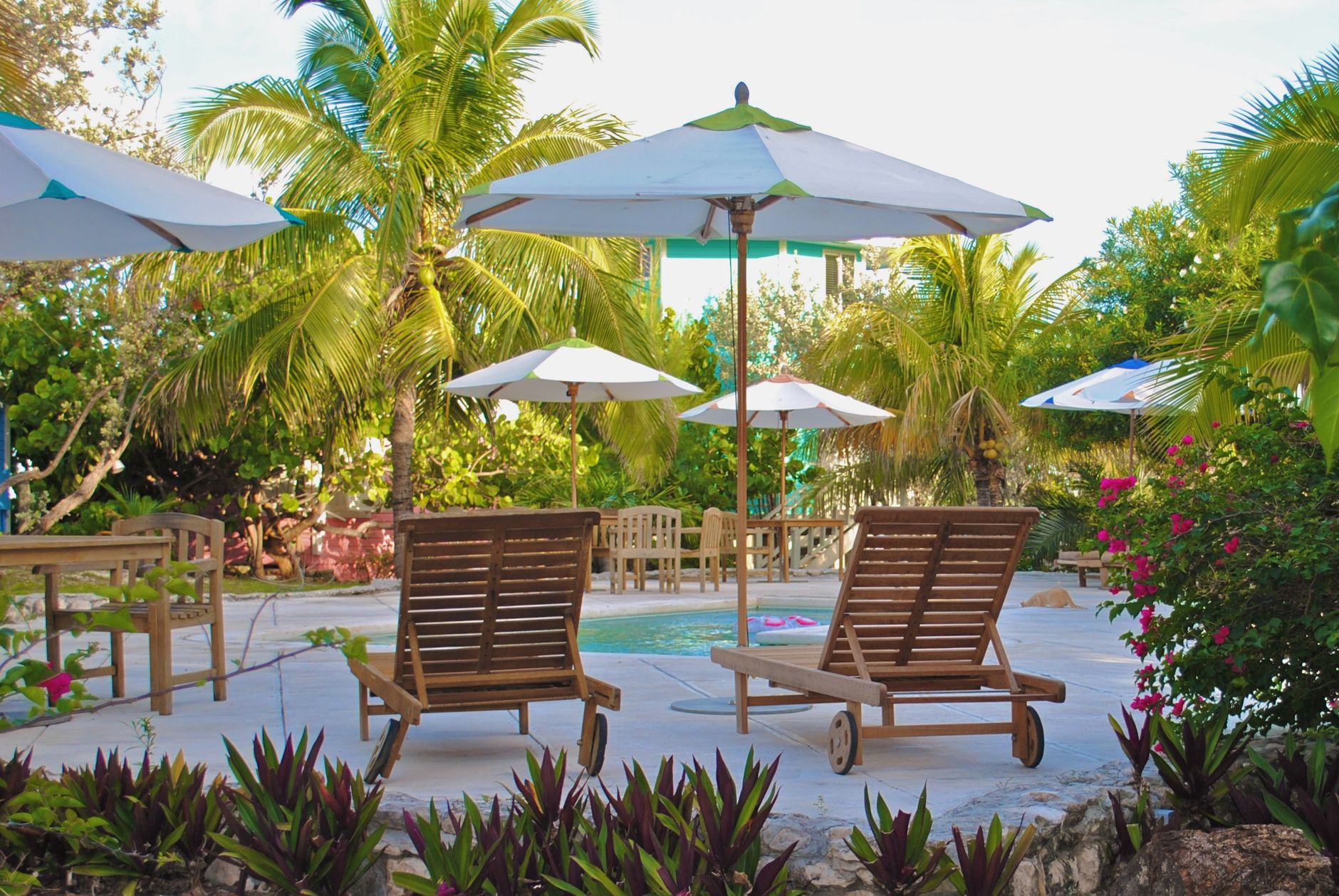 An umbrella beside a swimming pool