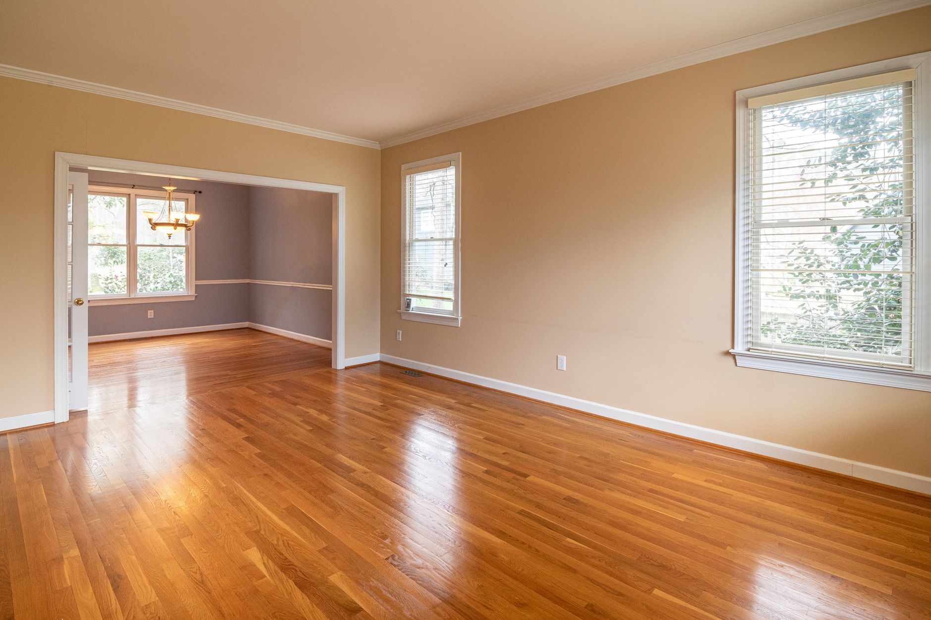 Best vacuum for floors: a bright living room with hardwood flooring