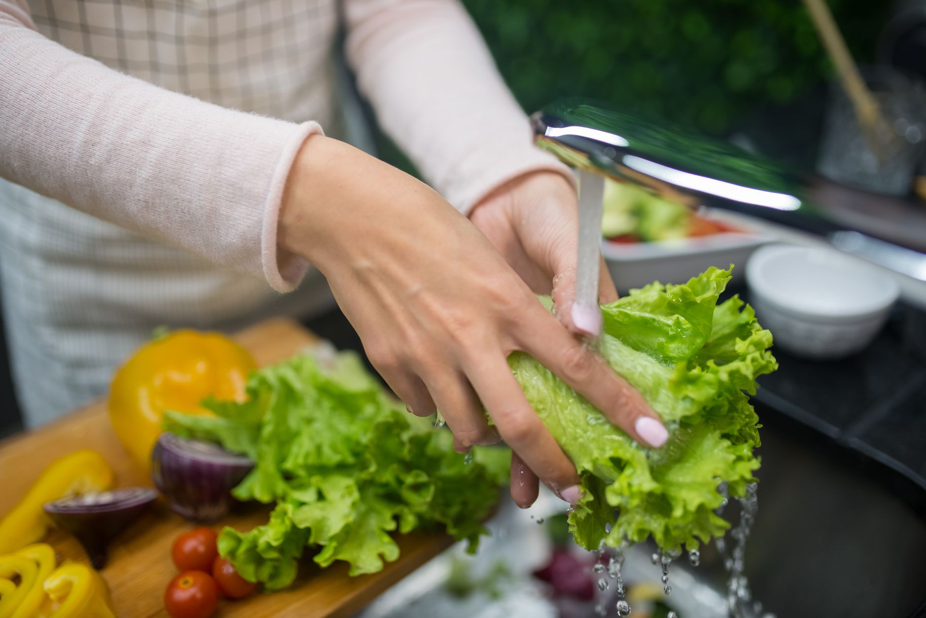 Washing lettuce under running water