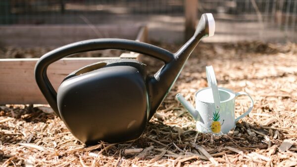 Best watering can: a watering can resting in a home garden