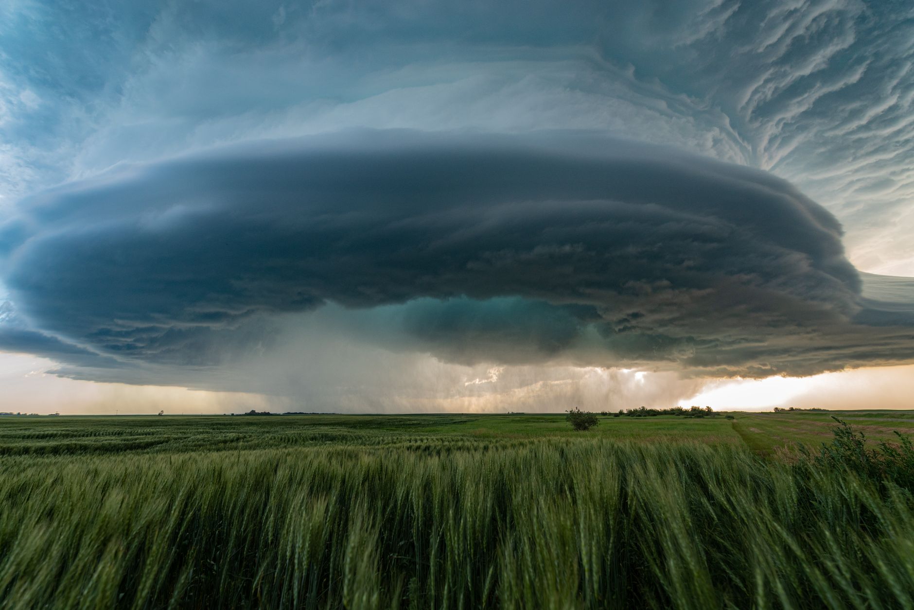 A supercell storm over a field