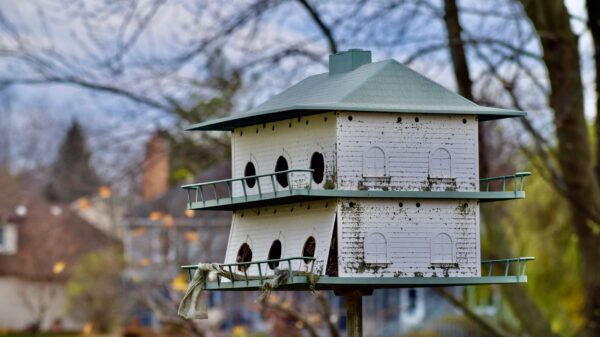 Best weather station: a home weather sensor outdoors