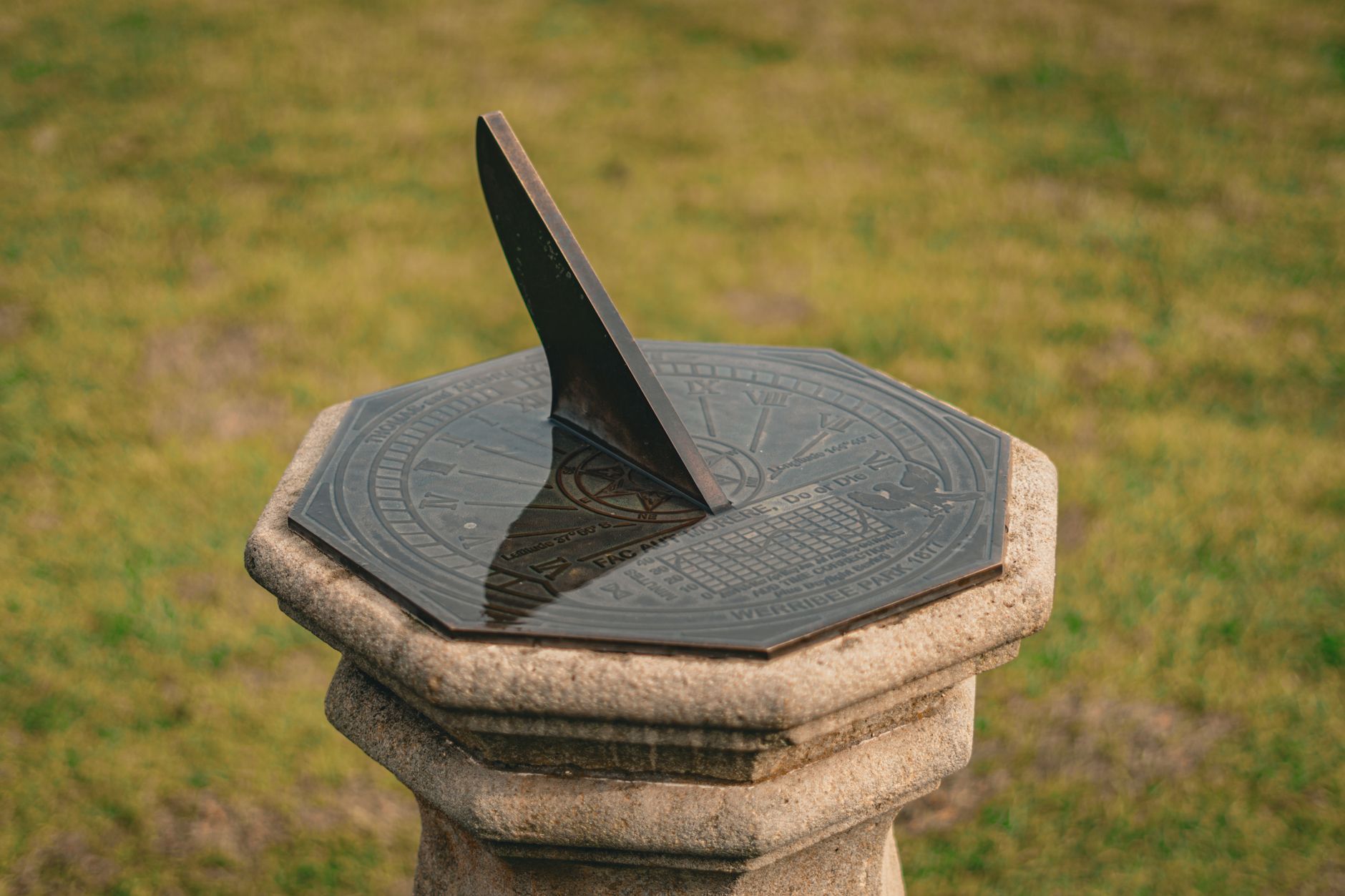 A rain gauge collecting rainfall in a garden