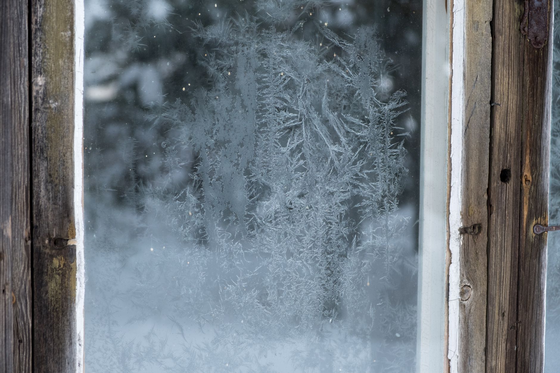 Frost forming on a window pane in winter
