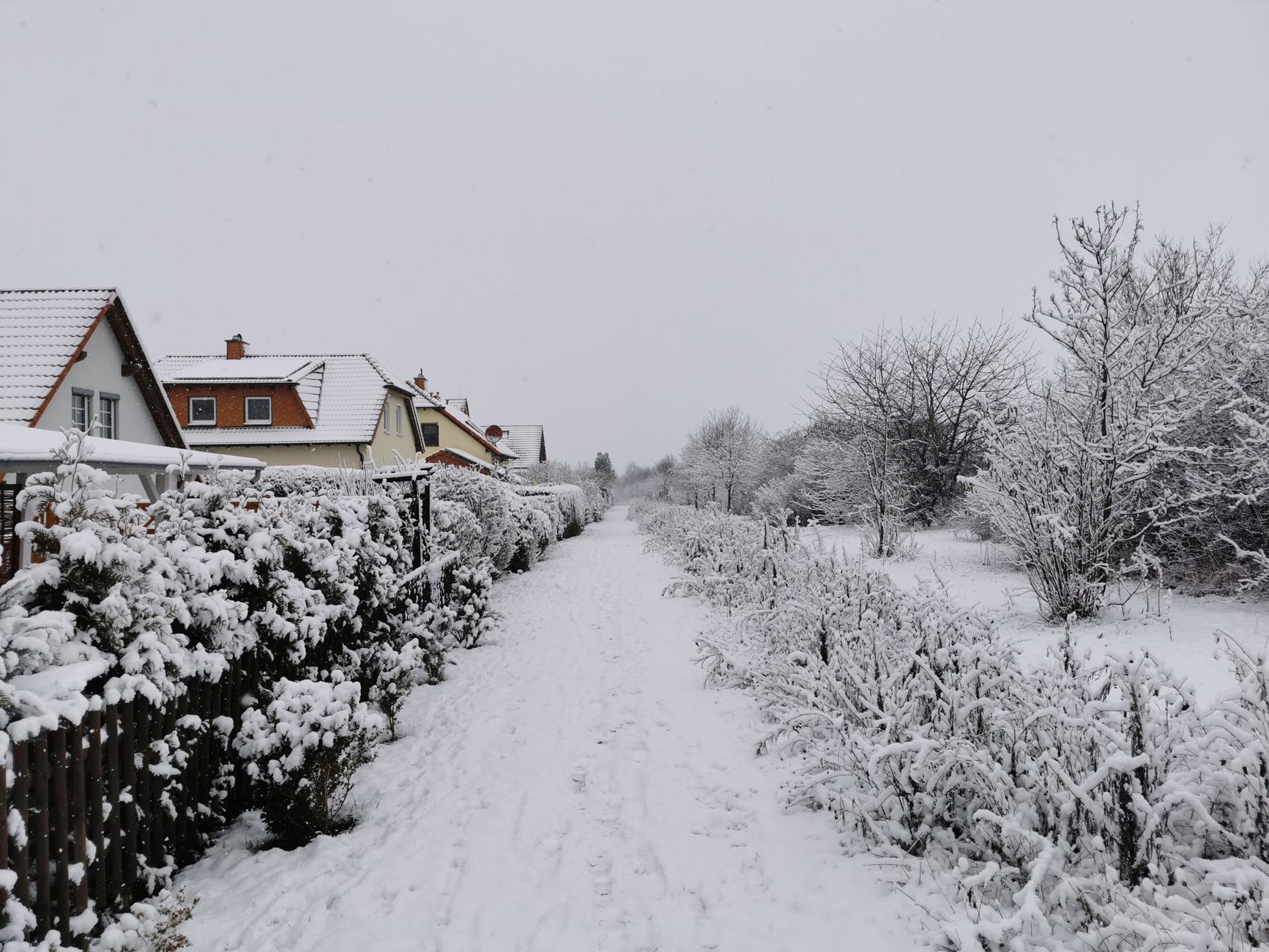 A house and yard covered in snow