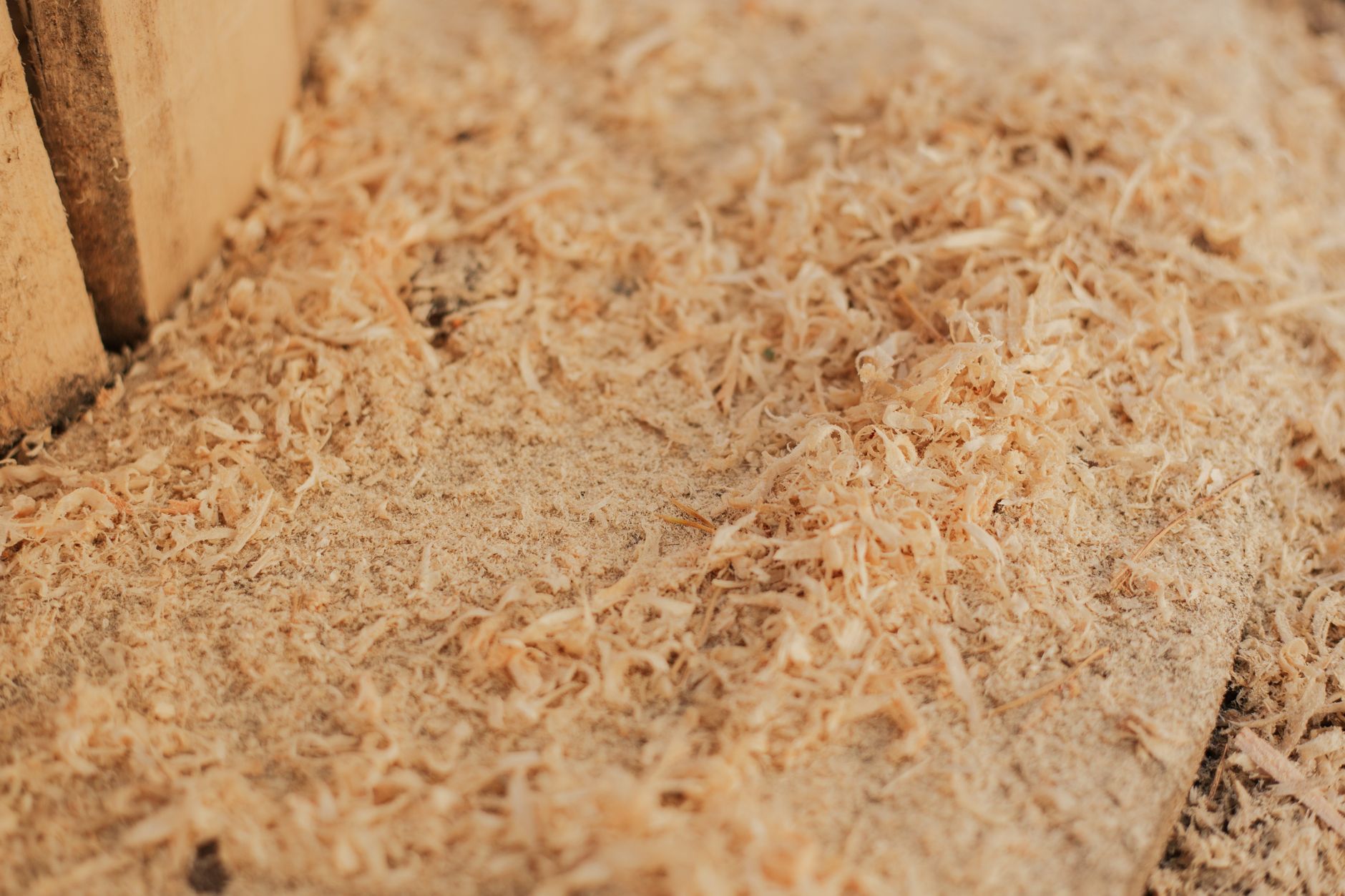 Sawdust on a workbench in a home workshop