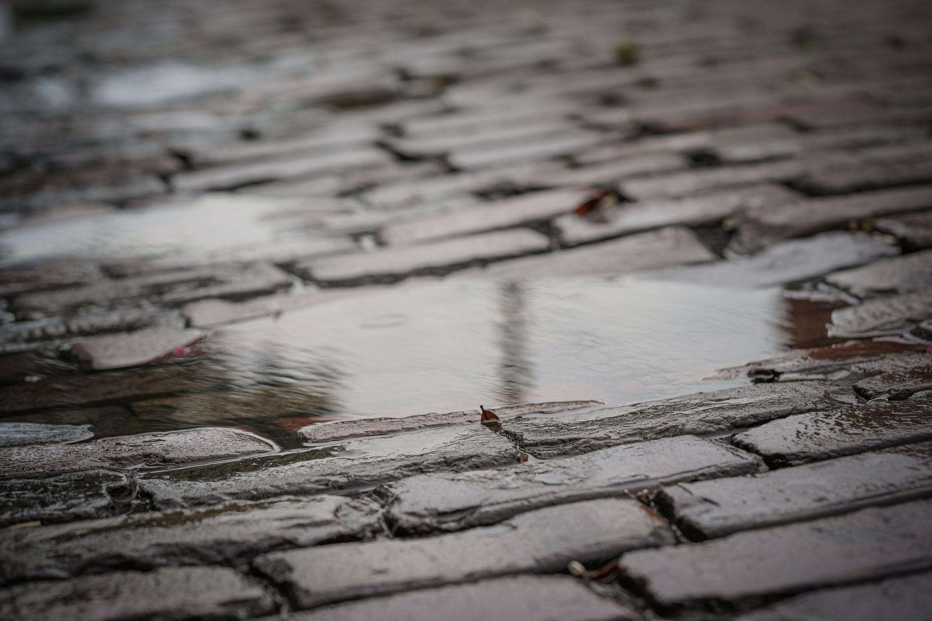 Standing water on a stone pavement
