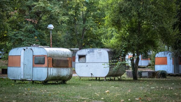 Old camper trailers parked under trees