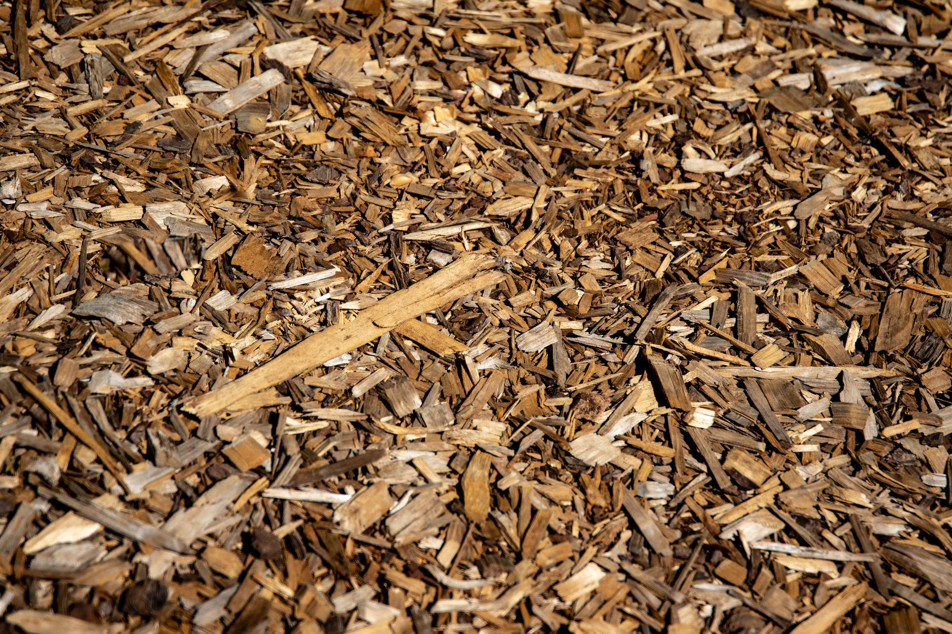A pile of wood chip mulch