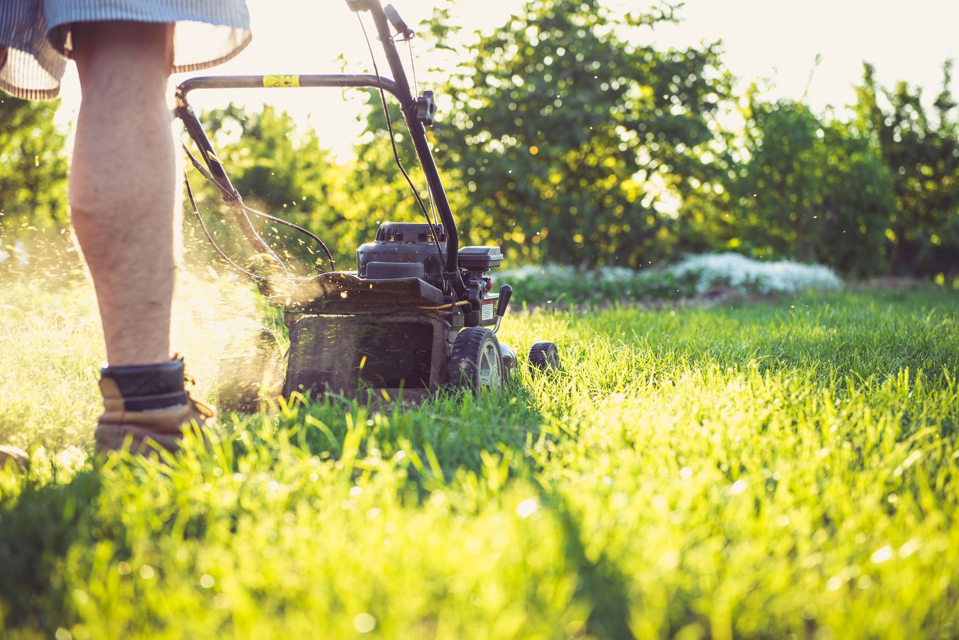 A person mowing a sunny lawn