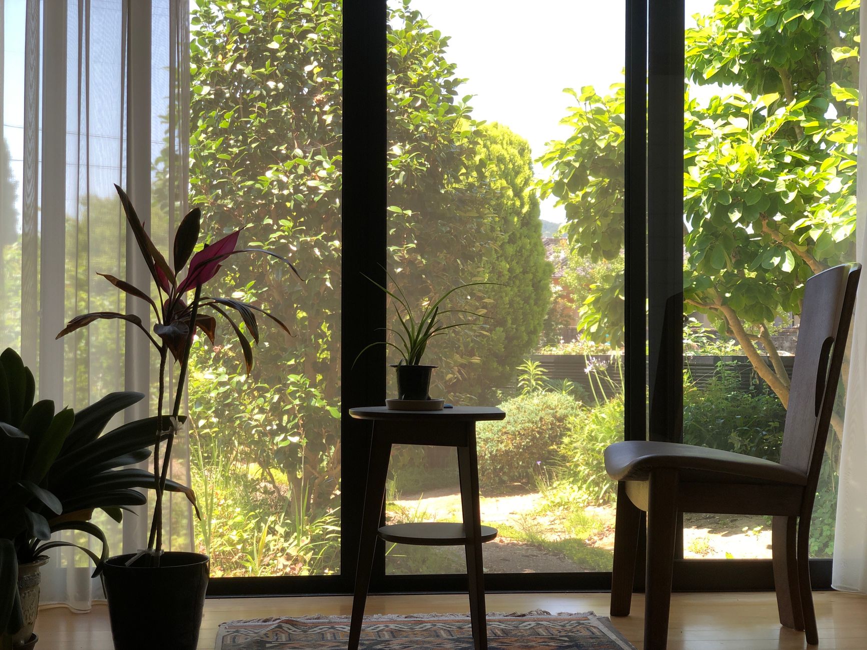Floor-to-ceiling windows by a garden