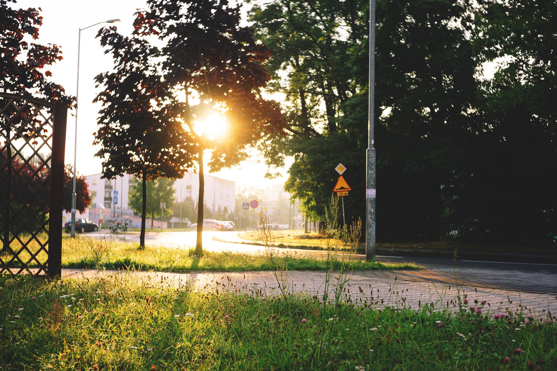 Sun shining over a city sidewalk