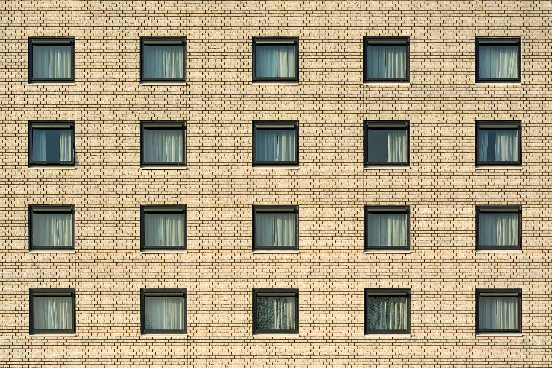 Rows of windows on a brick apartment building