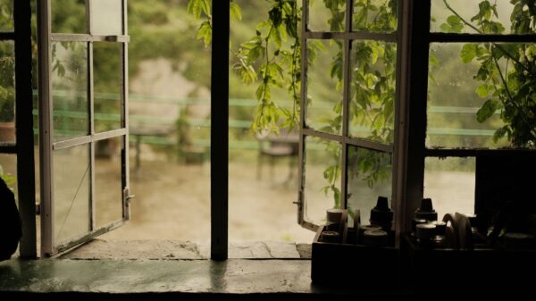 Best window screen: an open window letting in summer air