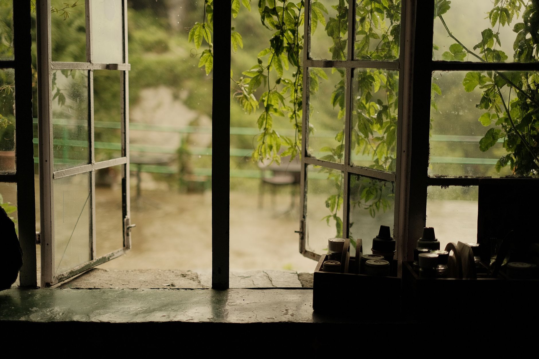 Best window screen: an open window letting in summer air