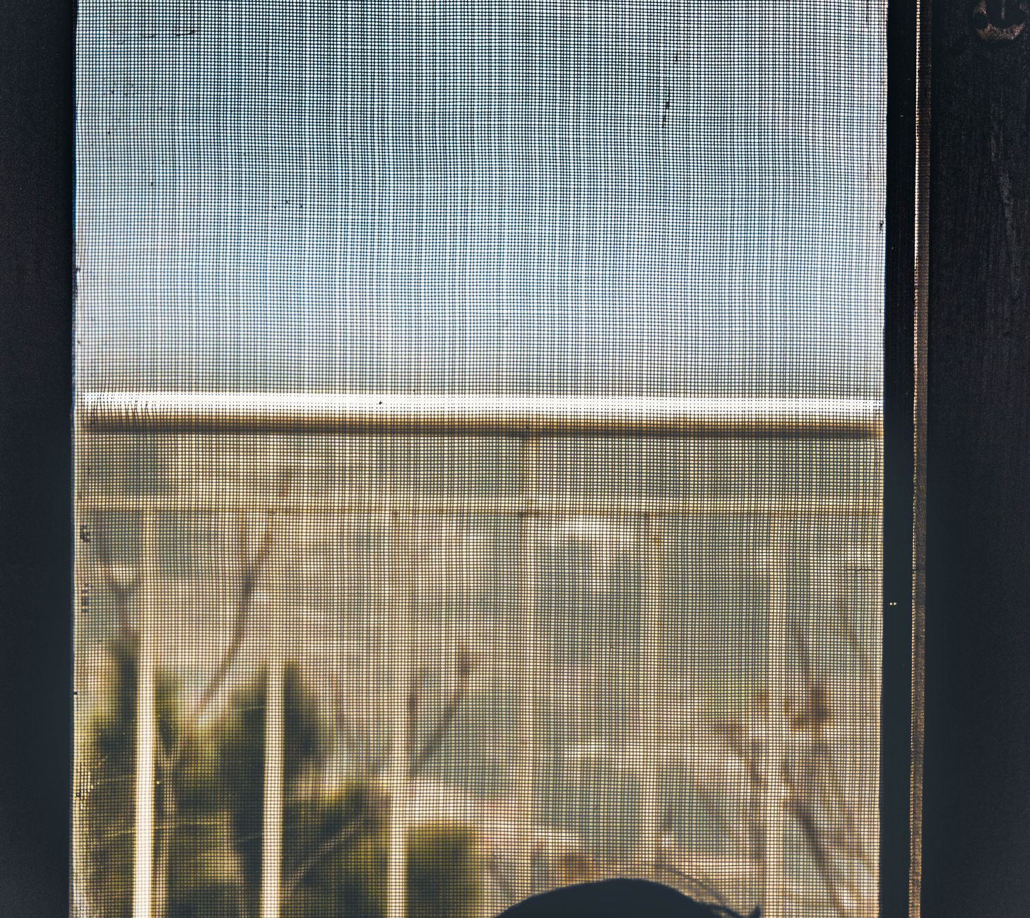 Close view of a mesh window screen