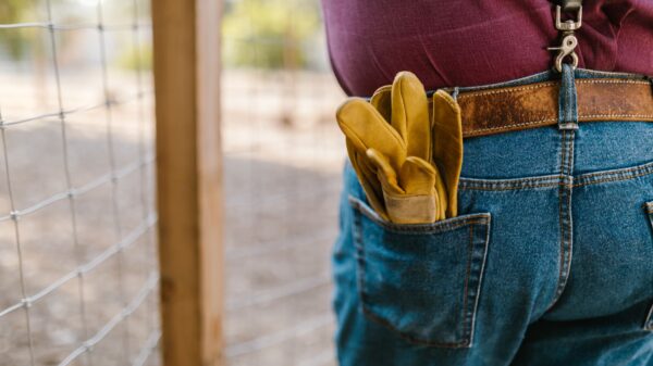 Best work gloves: a pair of gloved hands ready for a project