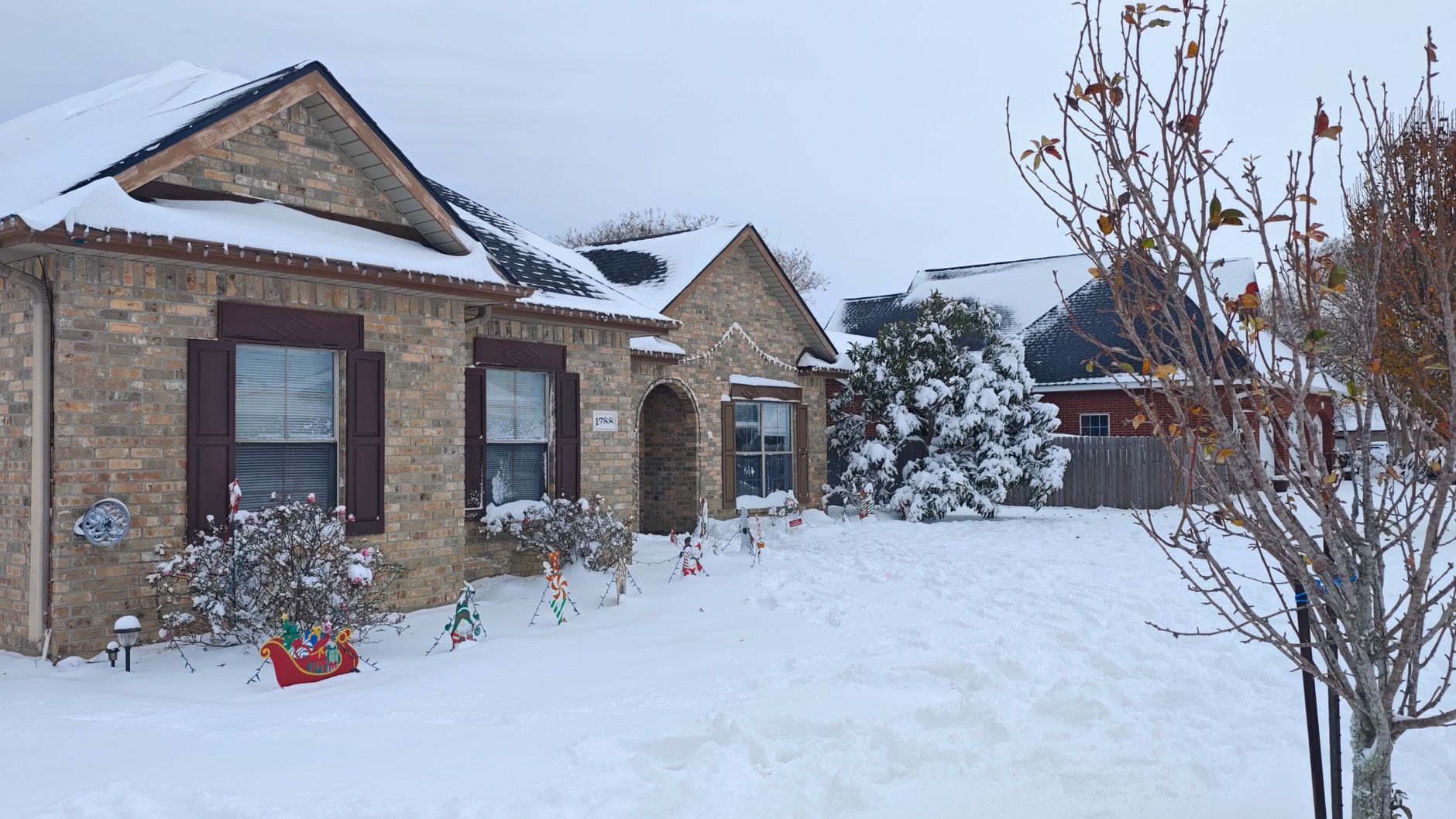 A snowy yard in winter