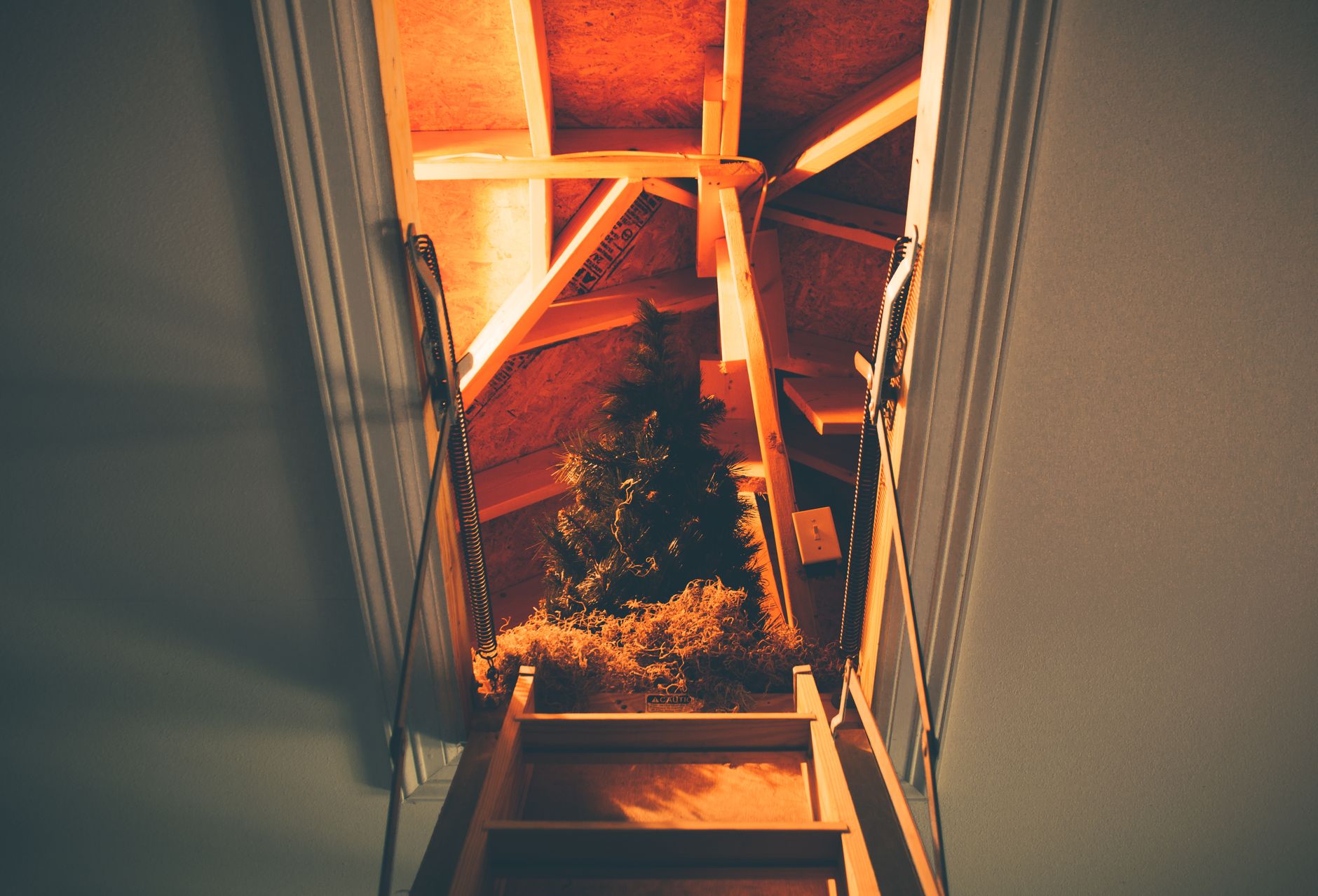 An attic ladder leading into a lit attic